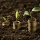 Pension contribution planning